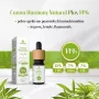 Olej CBD 14% Canna Harmony - 10% CBD + 2% CBDA + 2% CBG Natural Plus 1400mg 10ml - 3